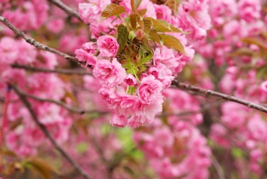 常州新北区7线下个人借款平台一站式服务，轻松解决资金难题