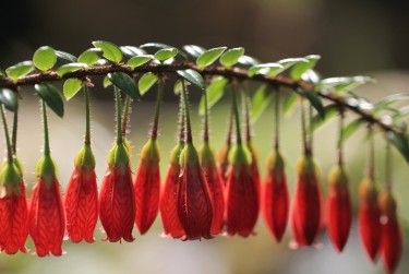 常州新北区7零用贷短借：轻松解决临时资金需求