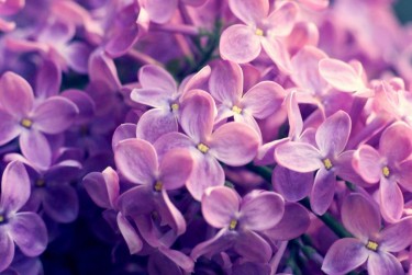 常州新北区7企业急用钱贷款攻略：快速融资解燃眉之急